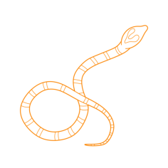 Animals Snakes King Cobra Stencil Svg Vector, Free Vectors File
